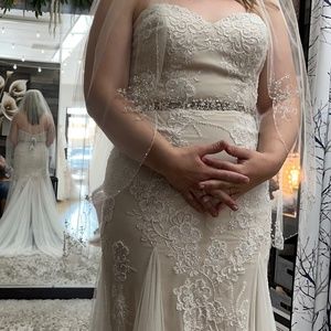 Willowby by Watters Champagne Colored Wedding Dress size 12